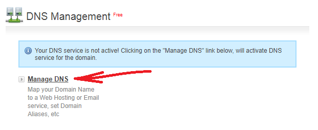 Trovare la gestione del DNS